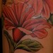 Tattoos - Hibiscus Flowers - 38010